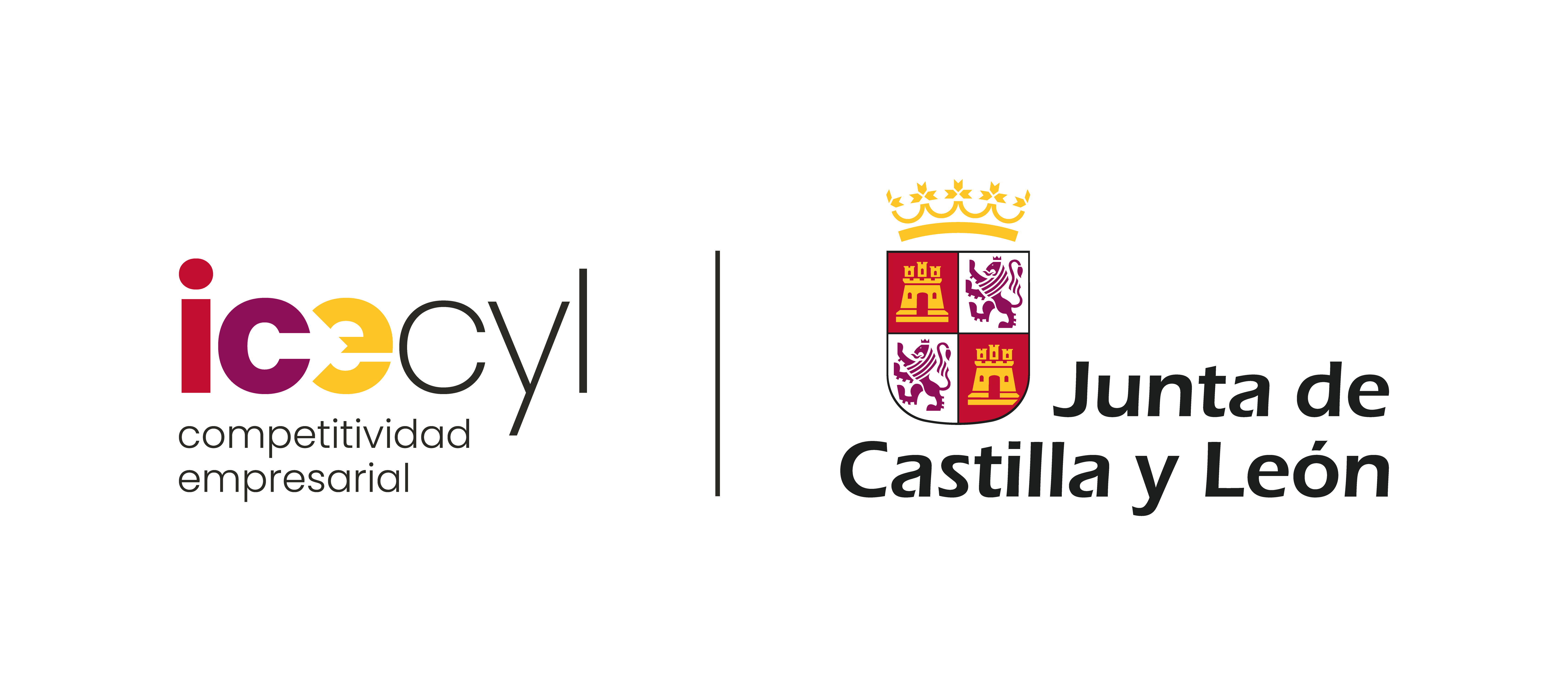 Logo ICECYL + JCYL Logo ICECYL + JCYL
